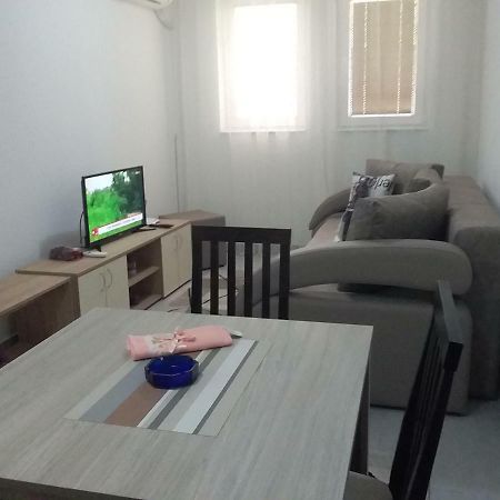 Apartman Jevtić 1 Gornja Toplica Bagian luar foto